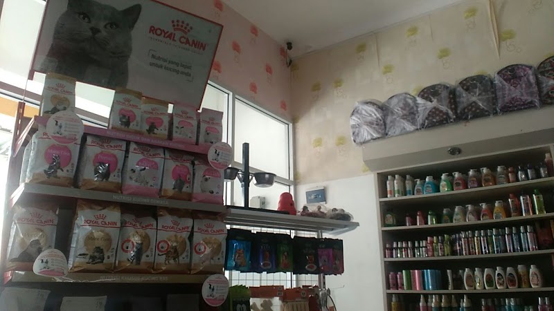 Cari Petshop Terbaik di Cilacap? Harith Petshop Solusi Lengkap!